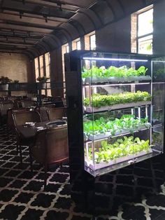 an indoor vegetable garden is shown in the middle of a room with tables and chairs