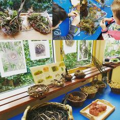 children are looking at birds nests in the window sill and on the table