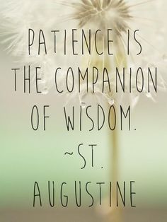 a dandelion with the words, patience is the companion of wisdom st augustine