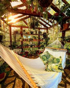 a hammock in a greenhouse with potted plants on the wall and floor