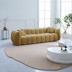 a living room with a couch, table and potted plant on the floor in front of it