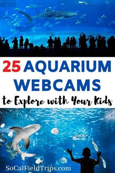 children looking at fish in an aquarium with text overlay that reads 25 aquarium webcams to explore with your kids