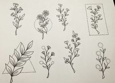 different types of flowers and leaves drawn in ink on white paper, with black lines