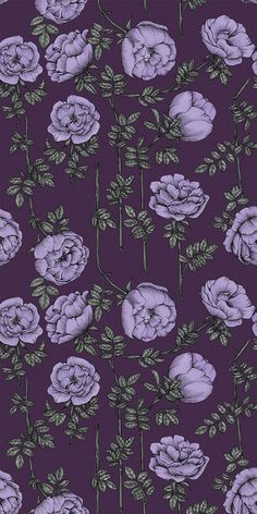 purple flowers on a dark background with green leaves