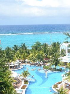 an outdoor swimming pool surrounded by palm trees and blue water in front of the ocean