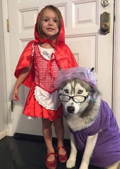 Trick Or Treat Costume, Red Cape, Dog Halloween Costumes, Fantasias Halloween, 웃긴 사진, Dog Costume, Memes Humor, Halloween Animals