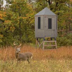 6 Foot Hunting Blind Kit Deer Hunting Stands, Shooting House, Hunting Stands, Ground Blinds, Deer Blind, Hunting Diy, Coyote Hunting, Deer Hunting Blinds, Hunting Life