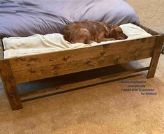 a brown dog laying on top of a wooden bed