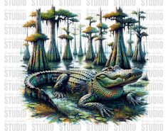 an alligator is sitting in the water surrounded by trees and swampy land with moss growing on