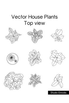 Vector house plants_Top view Floor Plan Symbols, Plants Monstera, Plan Furniture, Vector House, Interior Design Sketchbook, Landscape Architecture Plan, Plants House, Architectural Plants, Perspective Sketch