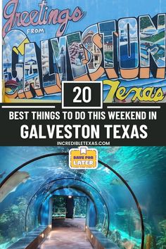 an advertisement for the best things to do this weekend in galveston texas