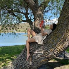 a woman sitting in a tree reading a book with her feet up on the ground