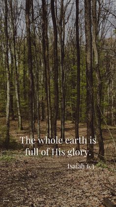 the whole earth is full of his glory bible verse on forest scene with leafy ground