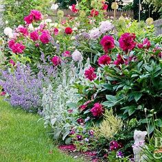 a garden filled with lots of different colored flowers