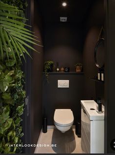 a white toilet sitting in a bathroom next to a green plant on top of a wall