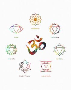 the seven chakras in different colors on a white background with an orange flower