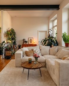 a living room filled with furniture and plants