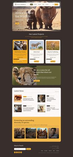 #Safari_Website_Design #Animal_Rescue_Website_Design #National_Geographic_Graphic_Design #Charity_Website_Design_Inspiration Safari Website Design, Animal Rescue Website Design, Charity Website Design Inspiration, Non Profit Website Design Inspiration, Animal Website Design, Circle Website Design, Non Profit Website Design, Safari Website, Zoo Website