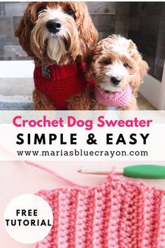 crochet dog sweater with text overlay that reads, crochet dog sweater simple & easy