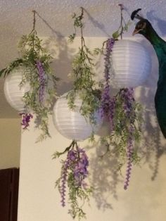 a peacock sitting on top of a white wall next to hanging flowers and paper lanterns