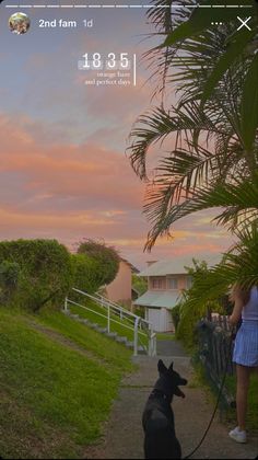 a dog on a leash standing next to a woman in front of a house and palm tree