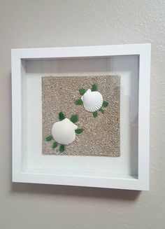 two seashells are in a white frame on the wall next to each other