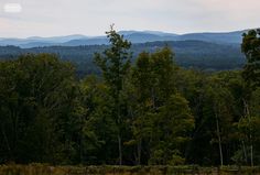 the mountains are in the distance with trees on each side