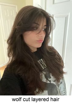 Long Layered Curtain Bangs, Alt Haircuts, Tiktok Haircut, Grunge Haircut, Bangs Wavy Hair, Summer Haircuts, Inspo Hair