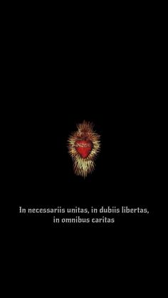 a black background with an image of a heart and fireworks in the dark, text reads'in necessias unitas, in dubia, public libia liberas