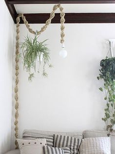 a living room filled with lots of furniture next to a wall mounted planter and potted plants