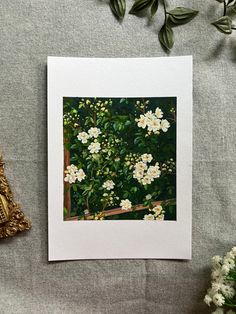 a painting of white flowers sitting on top of a table next to a gold frame