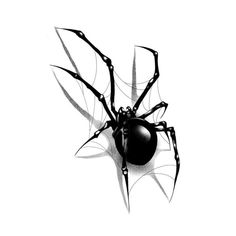 a black and white drawing of a spider