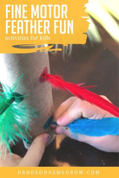 Rainforest Fine Motor Activities Preschool, Toucan Preschool Activities, Farm Activities Preschool Gross Motor, Fine Motor Animal Activities, Feather Sensory Play, Wild Animals Sensory Activities, Camping Fine Motor For Toddlers, Jungle Theme Toddler Activities, Feather Activities For Toddlers