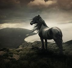 a horse standing on top of a mountain under a cloudy sky with an arabic quote