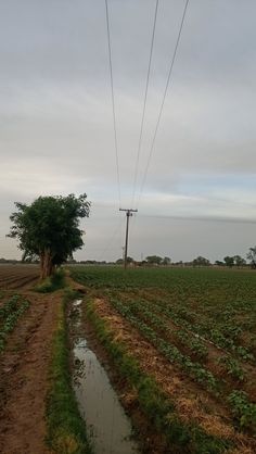 a dirt road that is next to a field with water and power lines above it