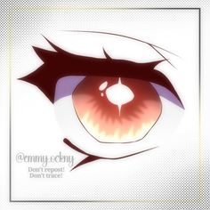 an anime character's eye with the caption, don't repost don't trace