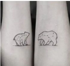 two small bears on their legs with the outline of one bear and the other bear behind them