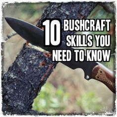 a knife stuck in a tree with the words bushcraft skills you need to know