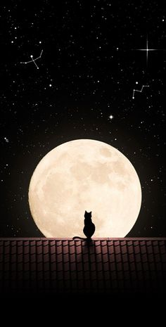 a cat sitting on top of a roof looking at the moon