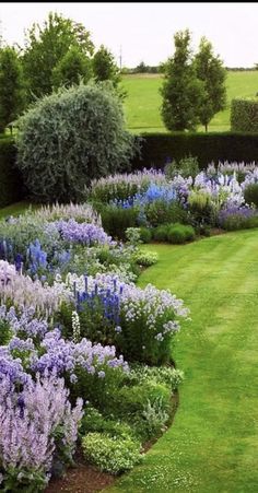 a garden filled with lots of purple flowers