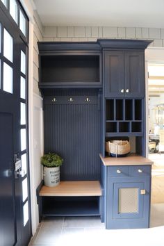 a room with some blue cabinets and a plant on the counter in front of it