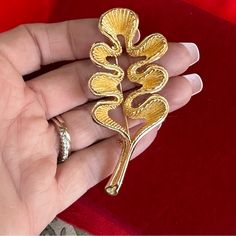 Beautiful Vintage Brooch From Christian Dior. From The Early 1990s And In Mint, Pristine Condition. Features Polished,Matte Gold Tone Design. Large Ginkgo Leaf. Signed At The Reverse. Elegant Leaf-shaped Brooches For Gifts, Dior Gold, Dior Vintage, Dior Jewelry, Leaf Brooch, Ginkgo Leaf, Vintage Brooch, Matte Gold, Vintage Brooches