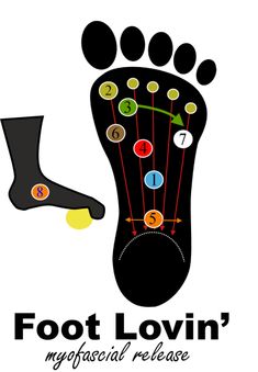 Are you experiencing knee, foot, hip or back pain? The problem may be in your FEET! Learn how you can use a simple tennis ball to relieve knee, hip, foot and even back pain. #footmyofascialrelease #plantarfasciitis #bunionprevention #bunionrelief #tennisballfootwork #youmakeitsimple #gentleyogawithjan #footpain Reflexology Points, Calf Cramps, Yoga Information, Foot Exercises, Myofascial Release, Neck And Back Pain, Trigger Points, Foot Pain, Reflexology