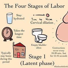 the four stages of labor info poster