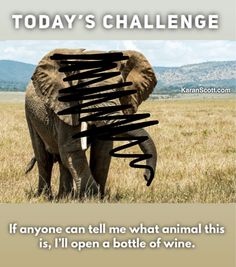 an elephant standing in the middle of a field with words above it that read today's challenge