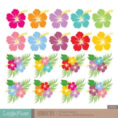 hawaiian flower clipart set in various colors