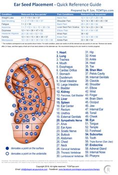 Eat Seed Placement, Ear Acupuncture Chart, Auricular Acupuncture, Ayurvedic Lifestyle