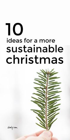 a hand holding a small tree with the words 10 ideas for a more sustainable christmas