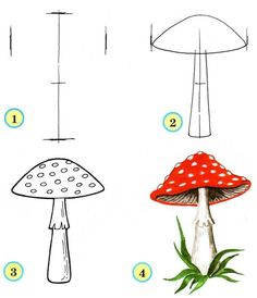 how to draw a mushroom step by step