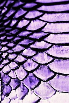 the scales of a snake skin are purple